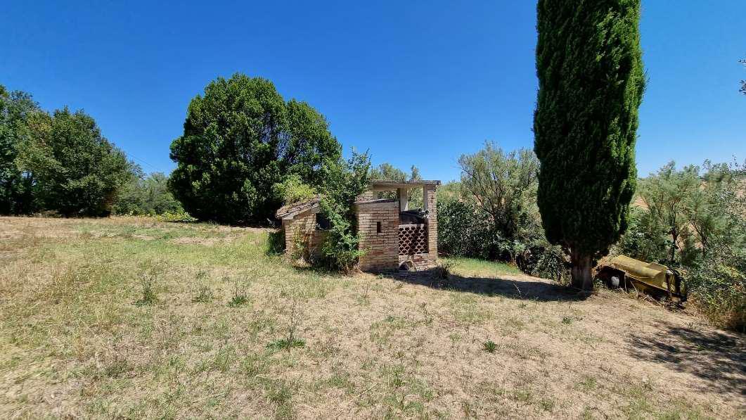 asta Appartamento a Monte Urano FM 00009 asta Appartamento a Monte Urano FM 00009