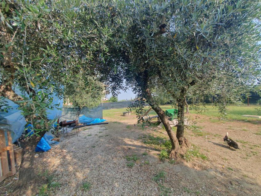 asta Appartamento a Reggello FI 00025 asta Appartamento a Reggello FI 00025