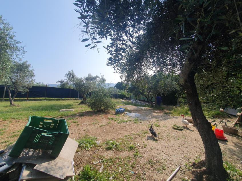asta Appartamento a Reggello FI 00027 asta Appartamento a Reggello FI 00027
