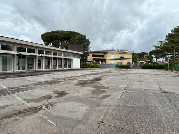 asta Complesso Commerciale a San Giuliano Terme PI 00002 asta Complesso Commerciale a San Giuliano Terme PI 00002