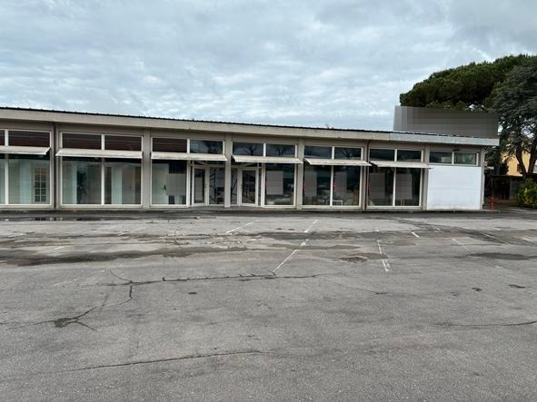 asta Complesso Commerciale a San Giuliano Terme PI 00003 asta Complesso Commerciale a San Giuliano Terme PI 00003
