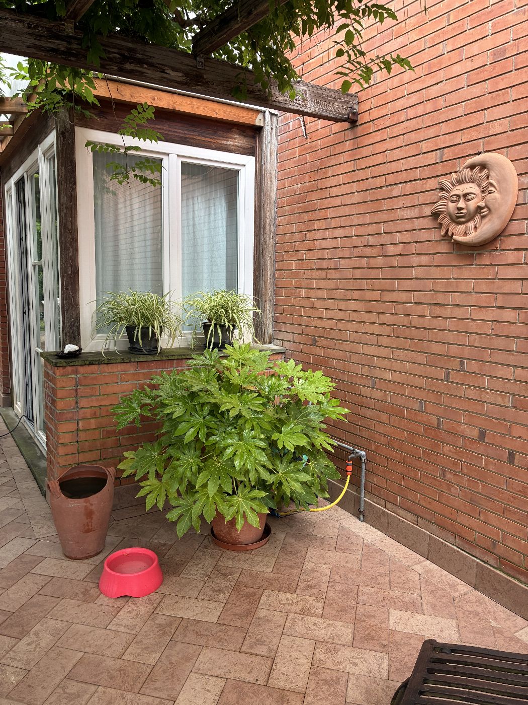 asta Villetta a Schiera a Calci PI 00003 asta Villetta a Schiera a Calci PI 00003