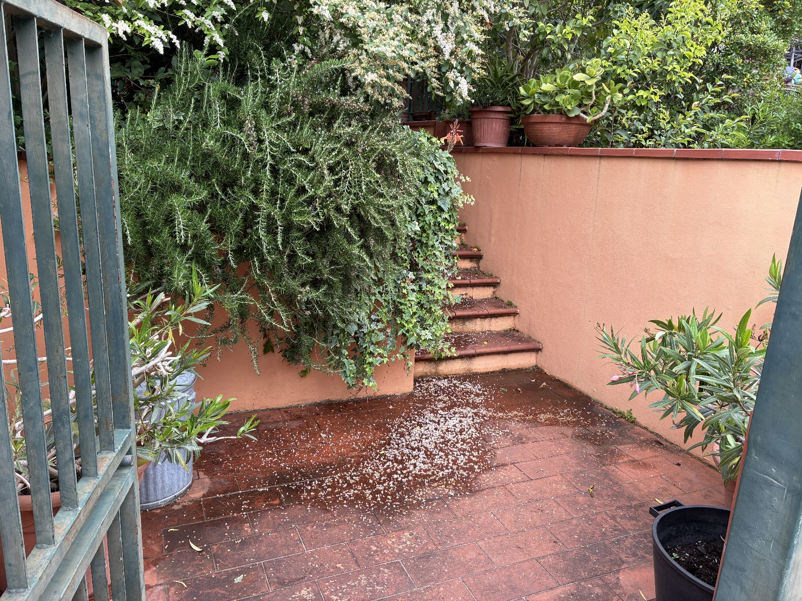 asta Villetta a Schiera a Calci PI 00002 asta Villetta a Schiera a Calci PI 00002