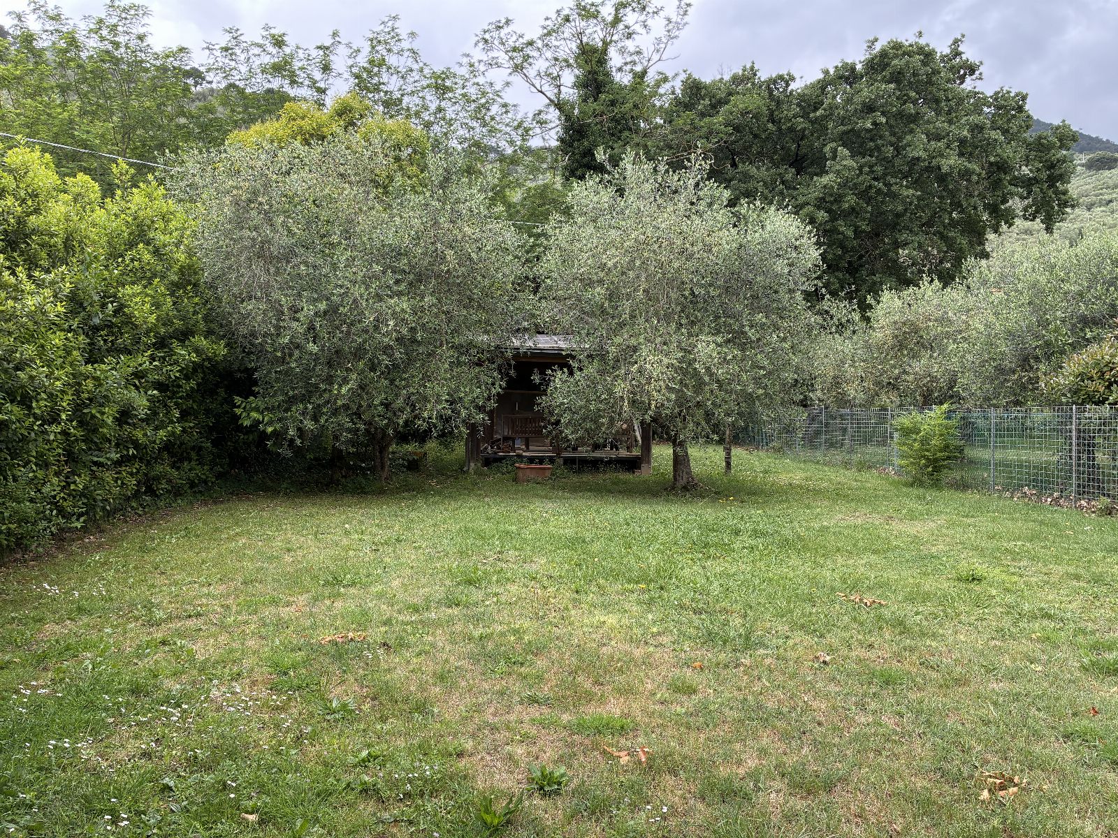 asta Villetta a Schiera a Calci PI 00009 asta Villetta a Schiera a Calci PI 00009