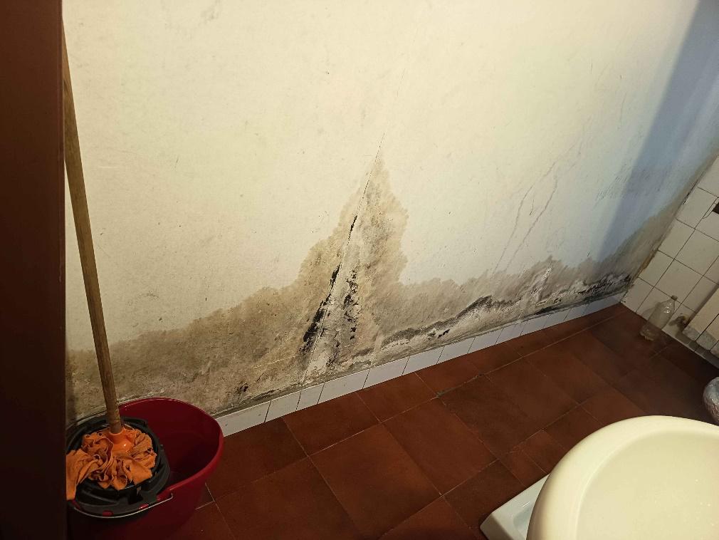 asta Appartamento a Rovigo 00008 asta Appartamento a Rovigo 00008