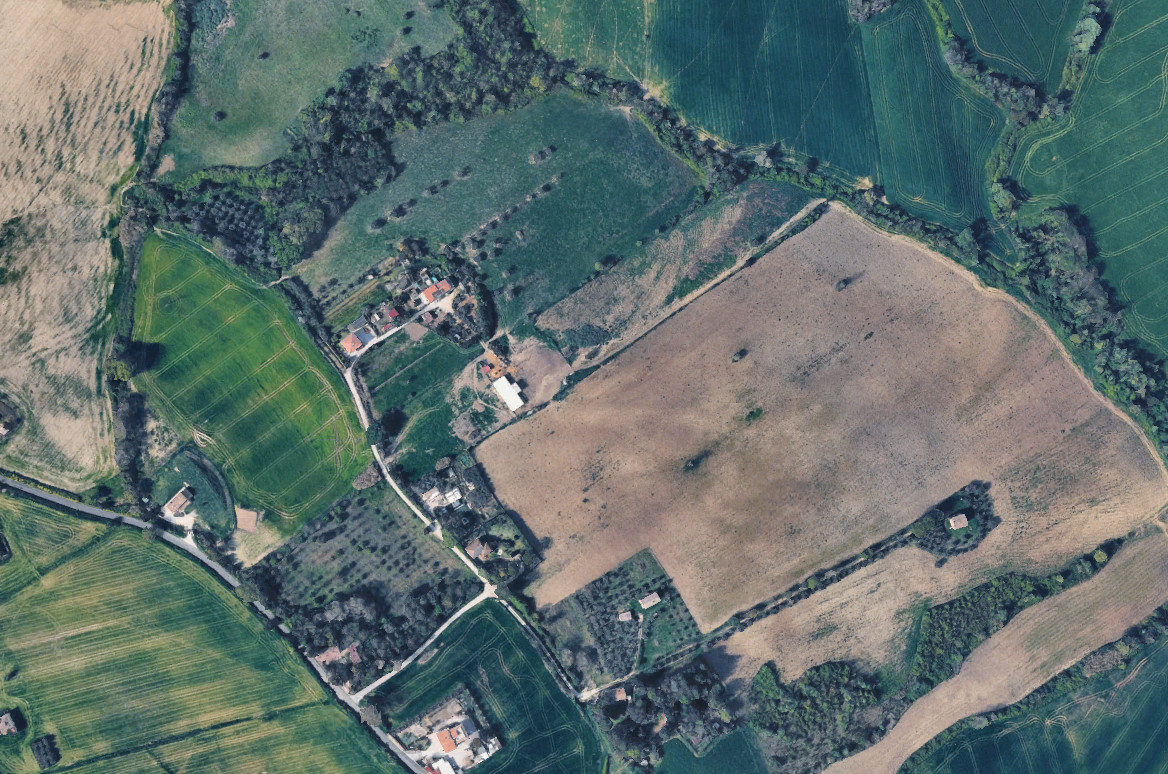 asta Terreno Agricolo a Rapagnano FM 00002 asta Terreno Agricolo a Rapagnano FM 00002