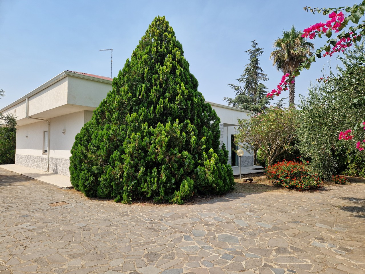 asta Villa a Grammichele CT 00003 asta Villa a Grammichele CT 00003