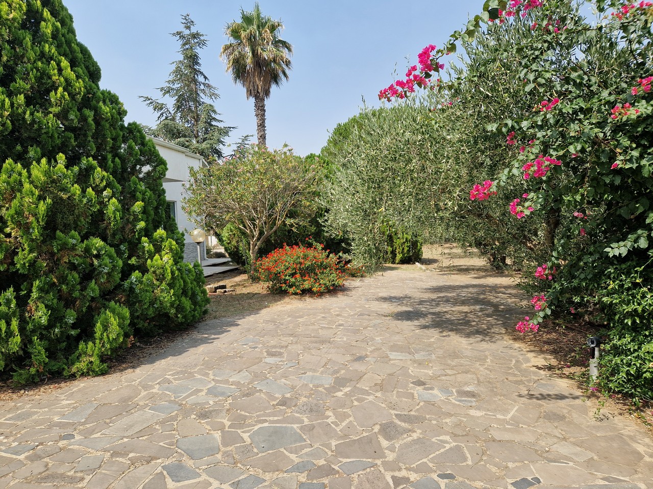 asta Villa a Grammichele CT 00004 asta Villa a Grammichele CT 00004
